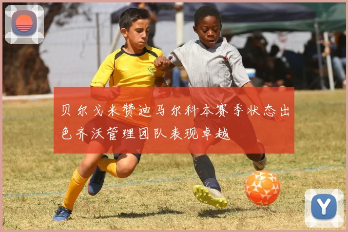 贝尔戈米赞迪马尔科本赛季状态出色齐沃管理团队表现卓越