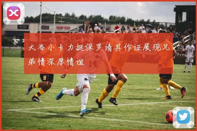 大洛小卡力挺保罗请其作证展现兄弟情深厚情谊