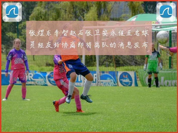 张煜东李智赵石张卫安永佳五名球员经友好协商即将离队的消息发布