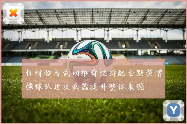 怀特称与武切维奇挡拆配合默契增强球队进攻武器提升整体表现